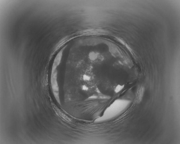 X0000082721459200702161829