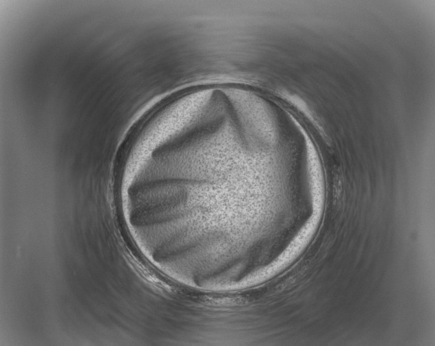 X0000082721460200702161829