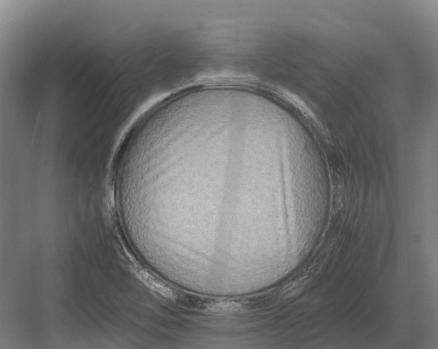 X0000082721462200702161829