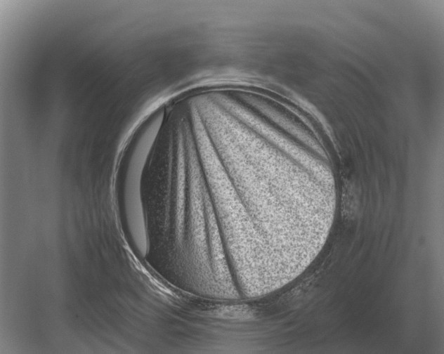 X0000082721464200702161829