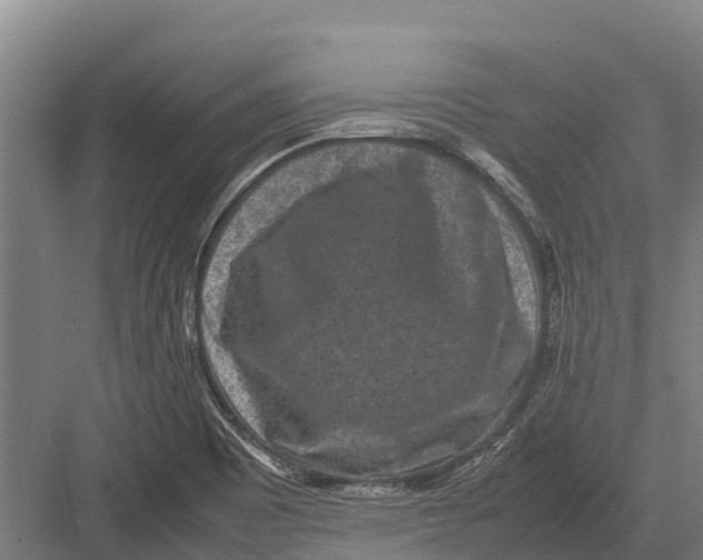 X0000082721465200702161829