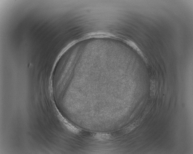 X0000082721466200702161829