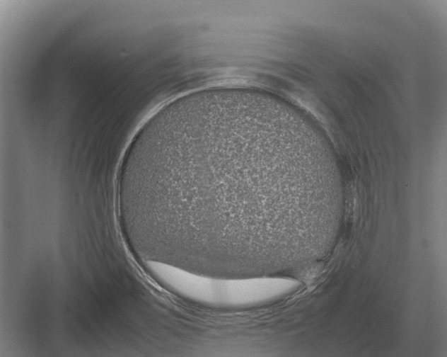 X0000082721467200702161829