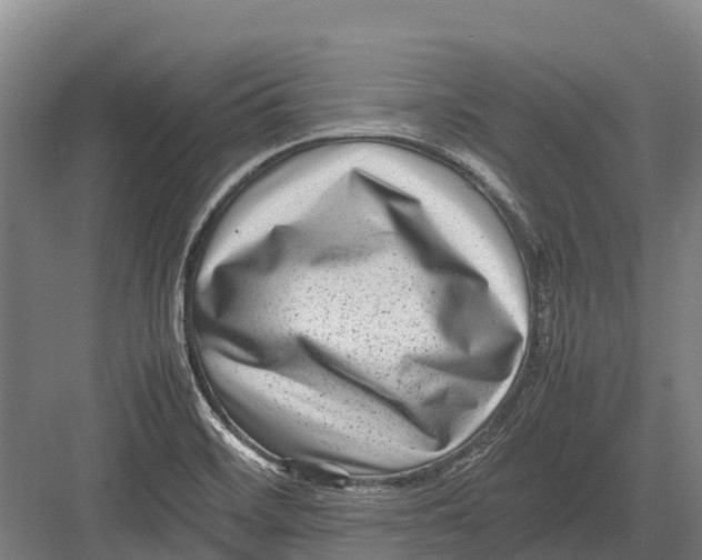 X0000082721468200702161829