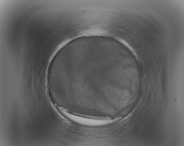 X0000082721469200702161829