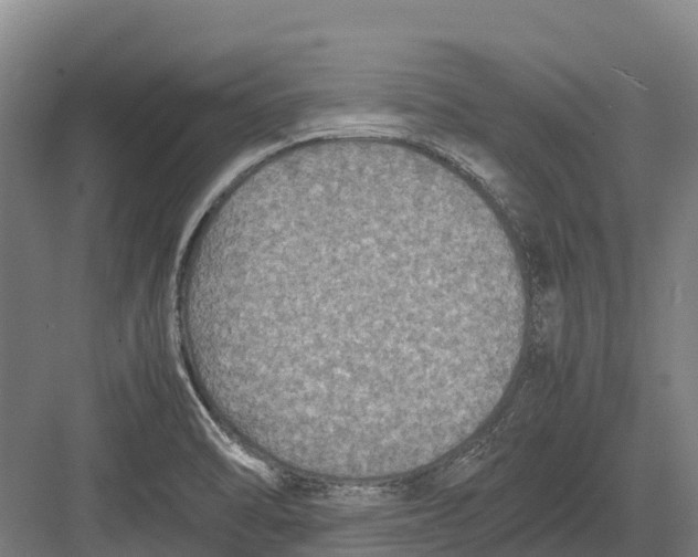 X0000082721470200702161829