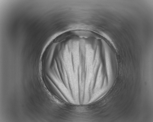 X0000082721472200702161829