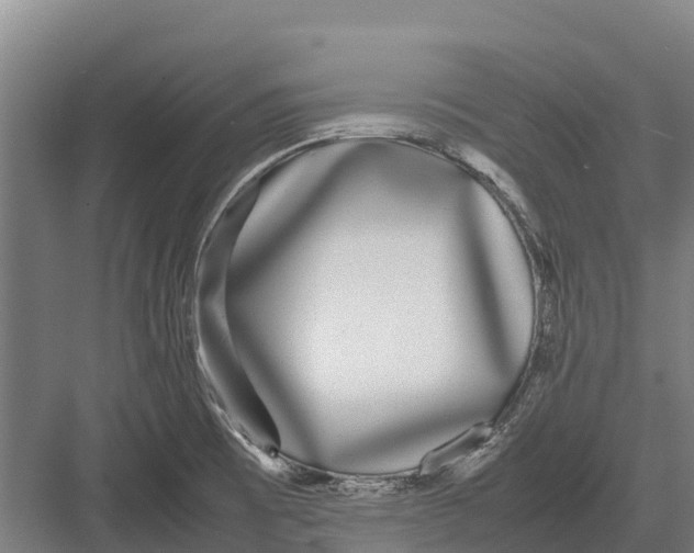 X0000082721473200702161829