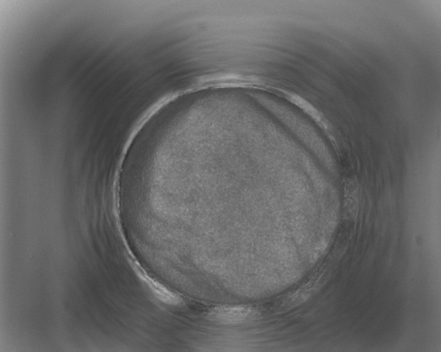 X0000082721474200702161829