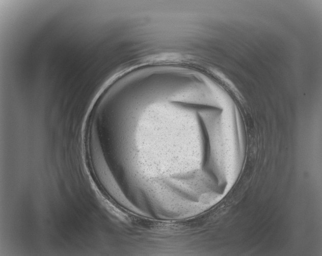 X0000082721475200702161828