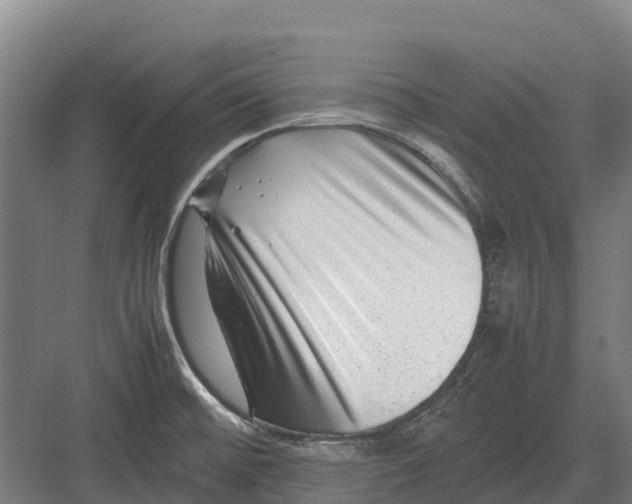 X0000082721476200702161828