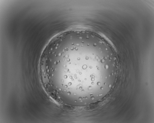 X0000082721477200702161828