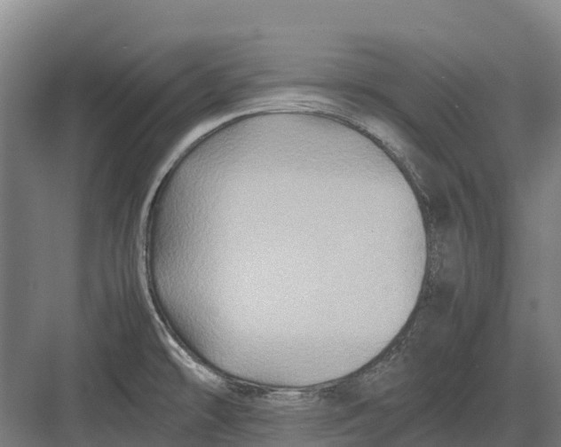 X0000082721478200702161828