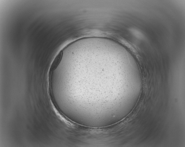 X0000082721479200702161828