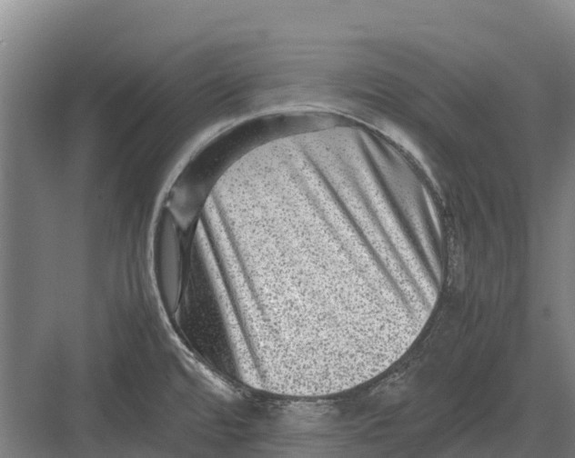 X0000082721480200702161828