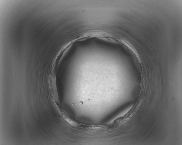 X0000082721481200702161828