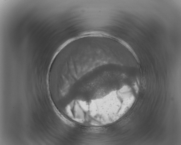 X0000082721482200702161828