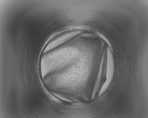 X0000082721483200702161828