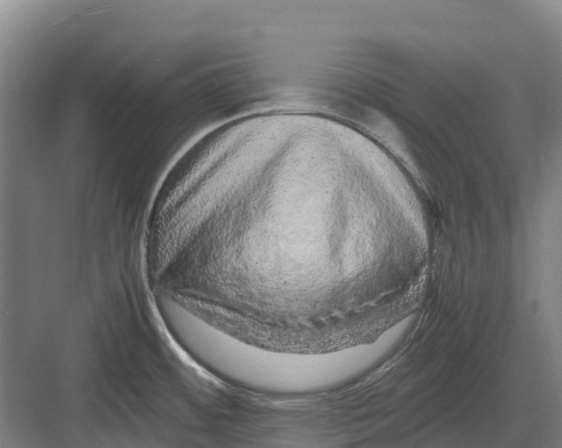 X0000082721484200702161828