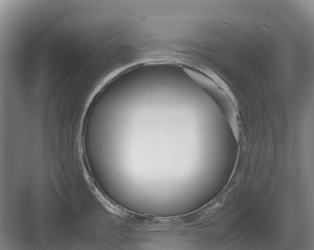 X0000082721485200702161828