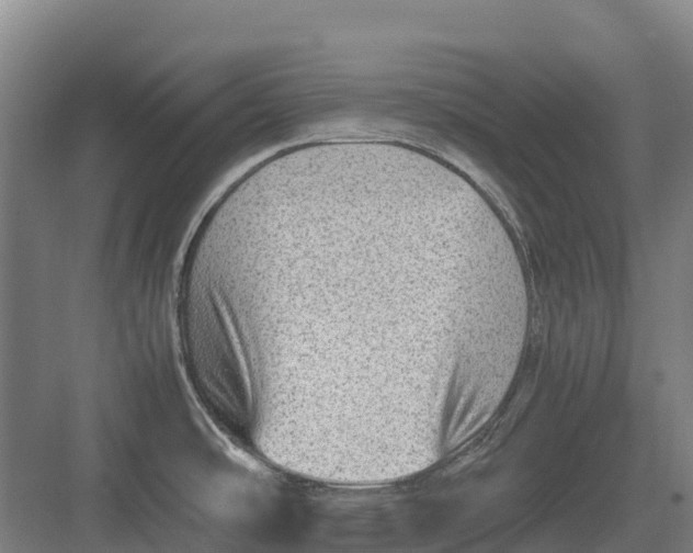 X0000082721486200702161828