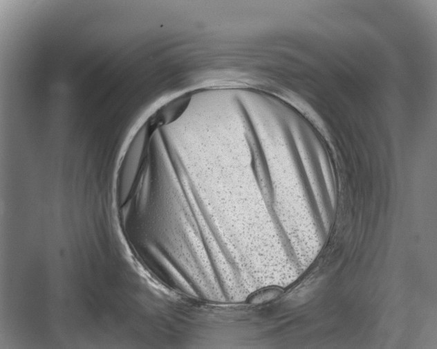 X0000082721488200702161828