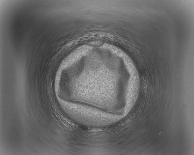 X0000082721489200702161827