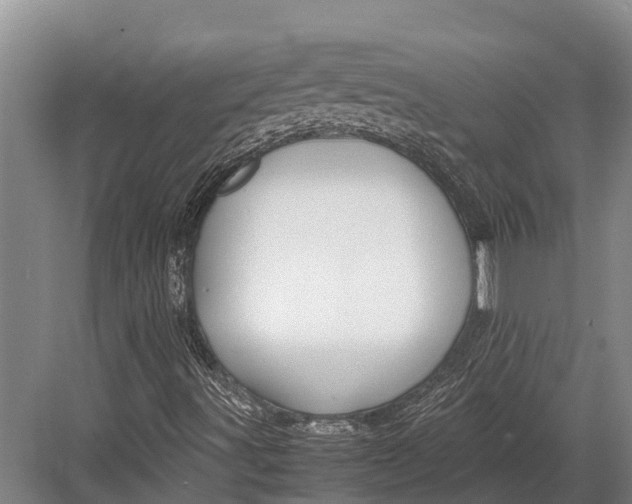 X0000082721491200702161828