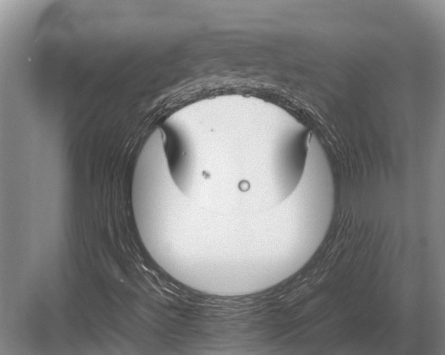 X0000082721492200702161828