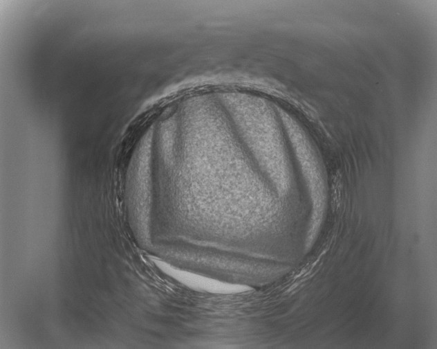 X0000082721494200702161828