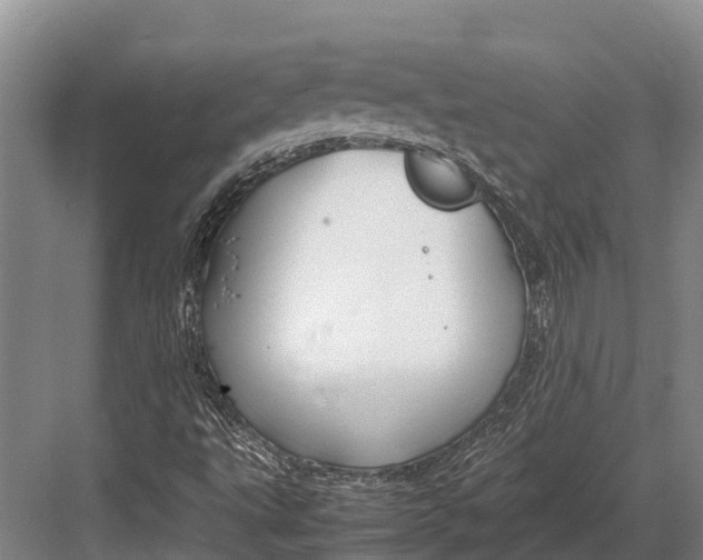 X0000082721495200702161828