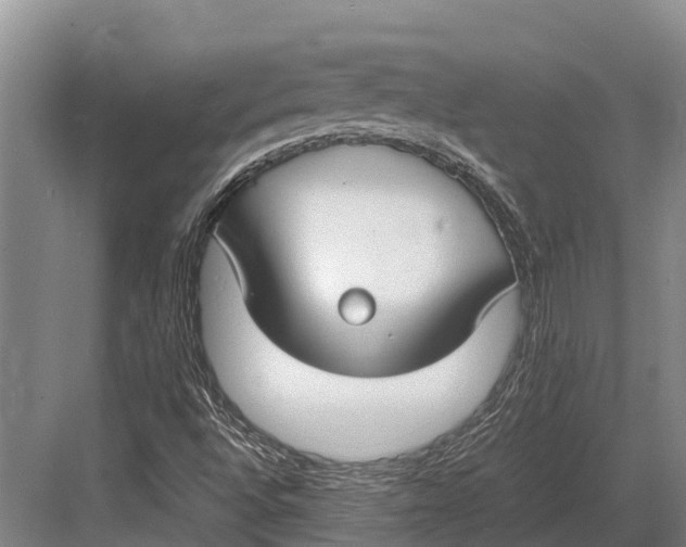 X0000082721496200702161828