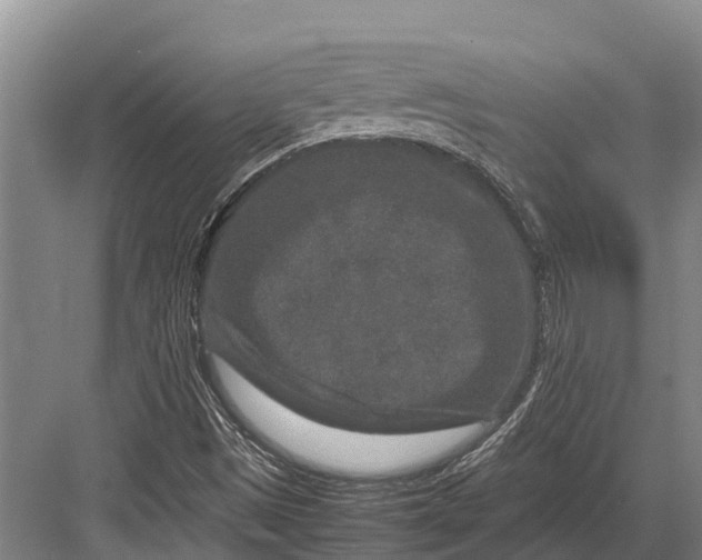 X0000082721497200702161828