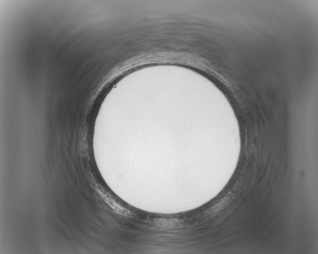 X0000082721498200702161828