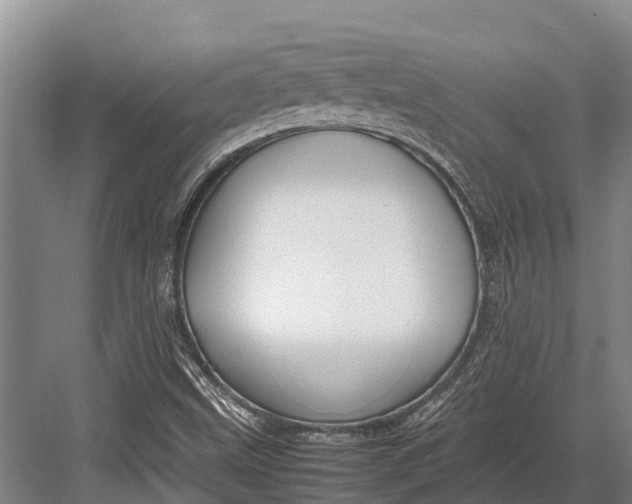 X0000082721499200702161828