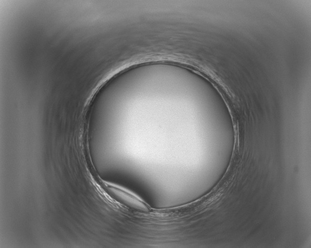 X0000082721500200702161828