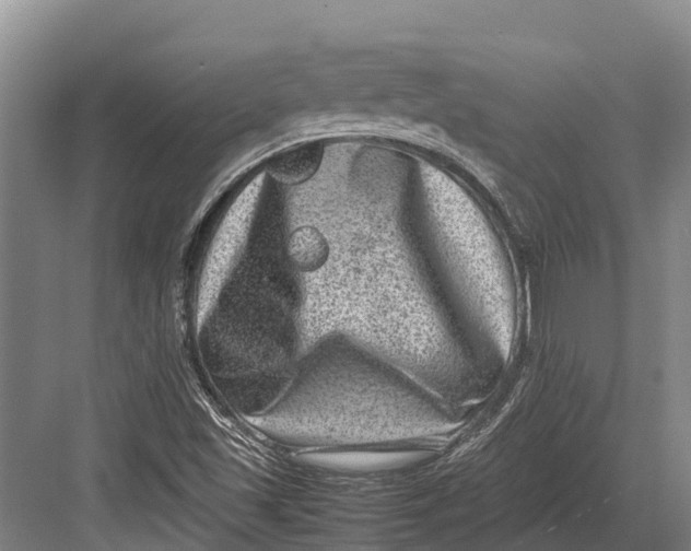 X0000082721501200702161828