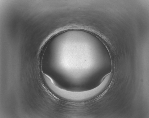 X0000082721502200702161828