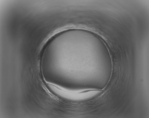 X0000082721503200702161828