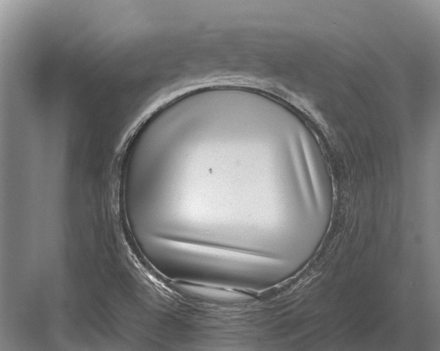 X0000082721504200702161828