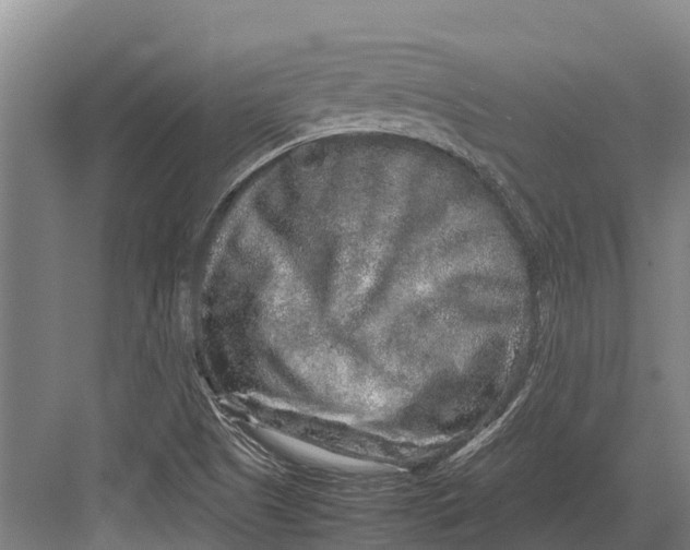 X0000082721505200702161828