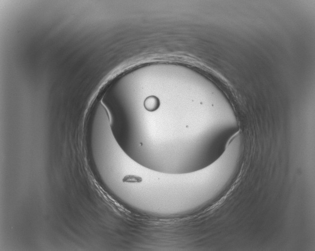 X0000082721506200702161828