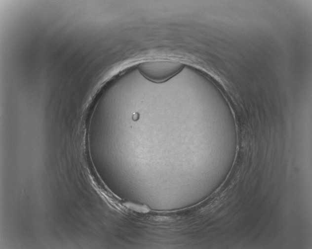 X0000082721507200702161828