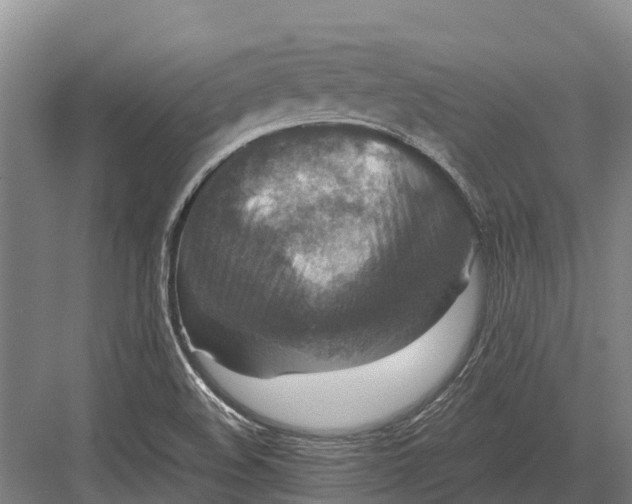 X0000082721508200702161828