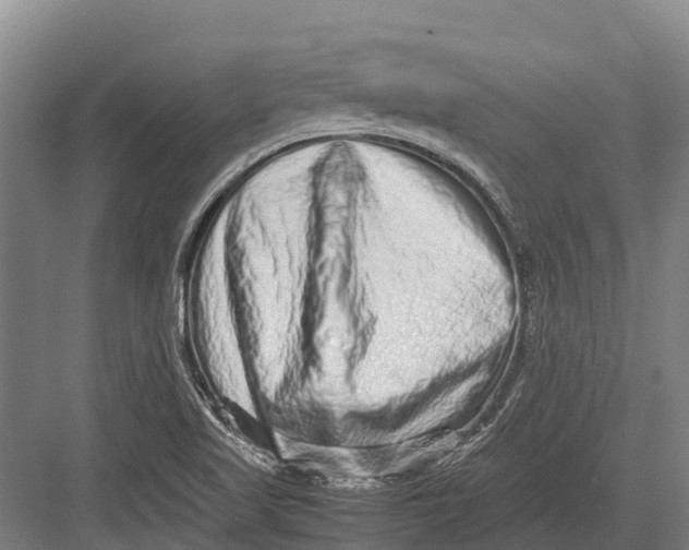 X0000082721509200702161828