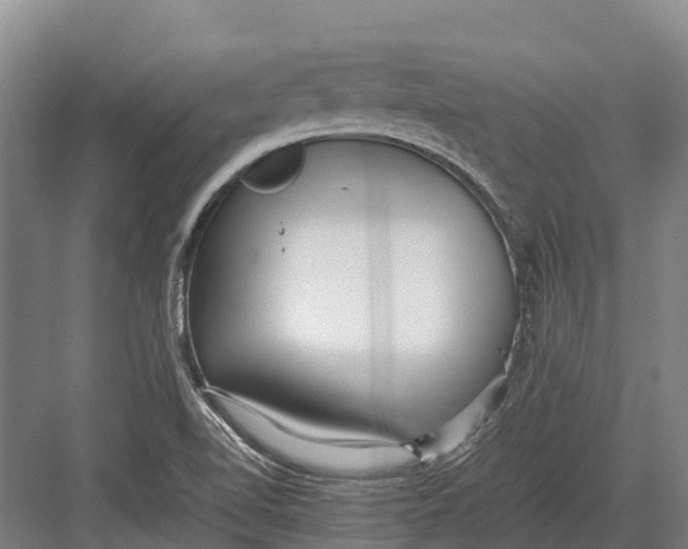 X0000082721510200702161828