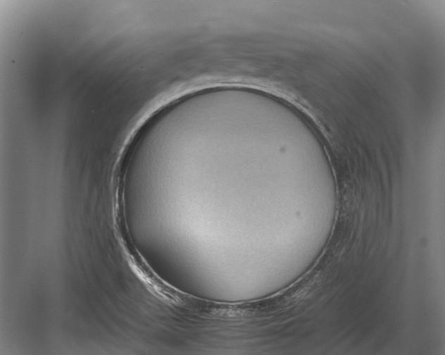 X0000082721511200702161828