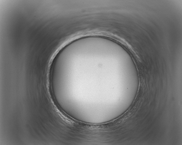 X0000082721512200702161828