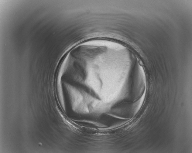 X0000082721513200702161828