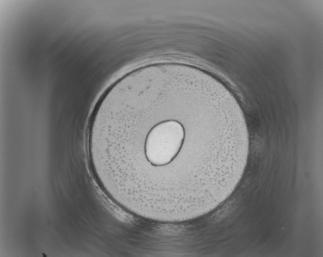 X0000082721514200702161828